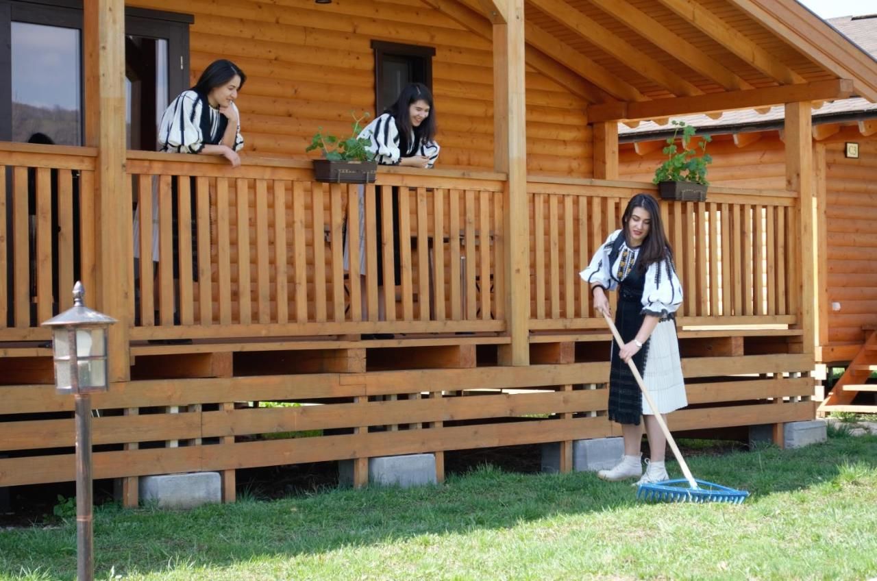 Дома для отпуска Complex Agroturistic Livada de Nuci Байя-де-Фьер