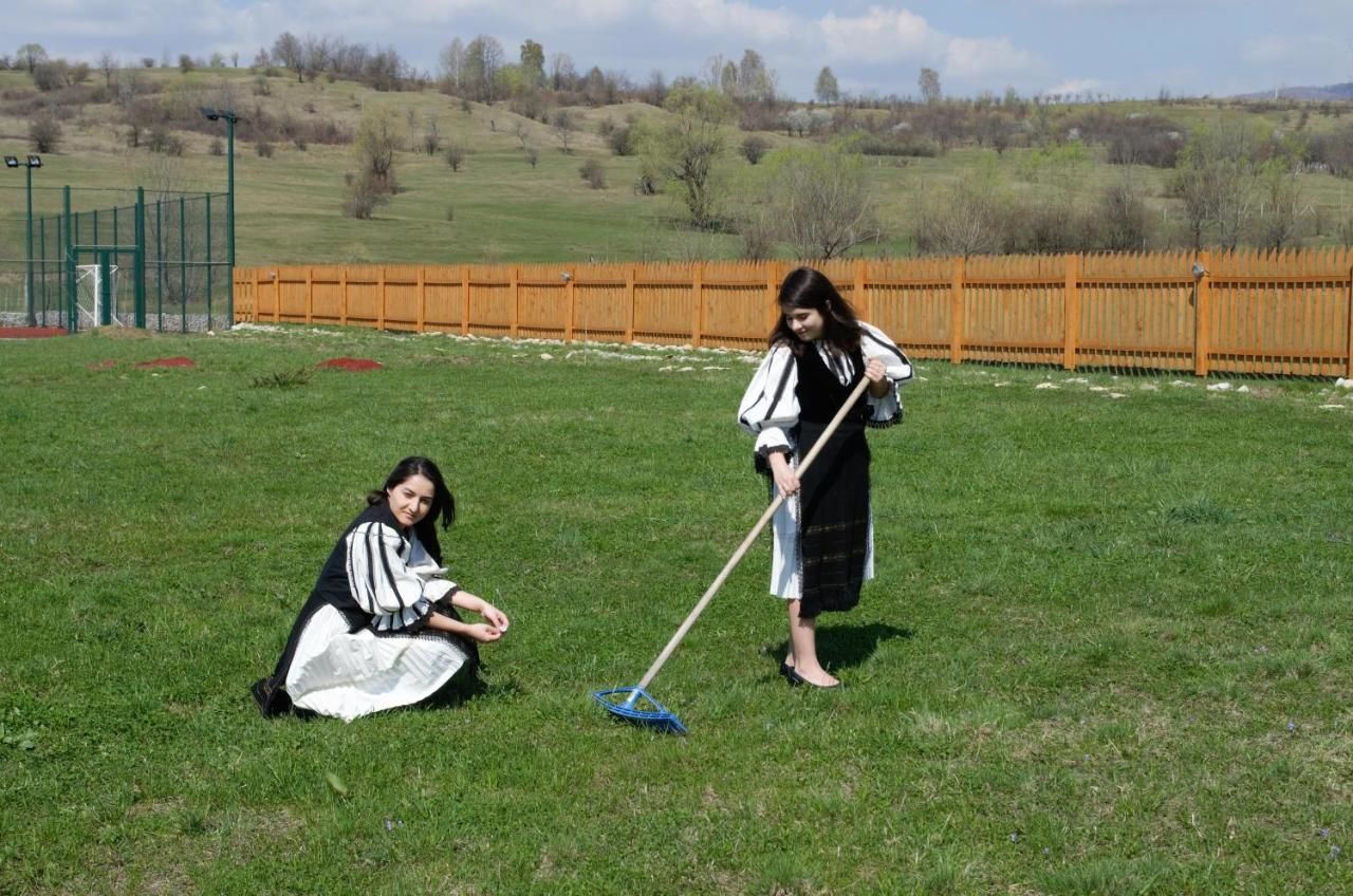 Дома для отпуска Complex Agroturistic Livada de Nuci Байя-де-Фьер