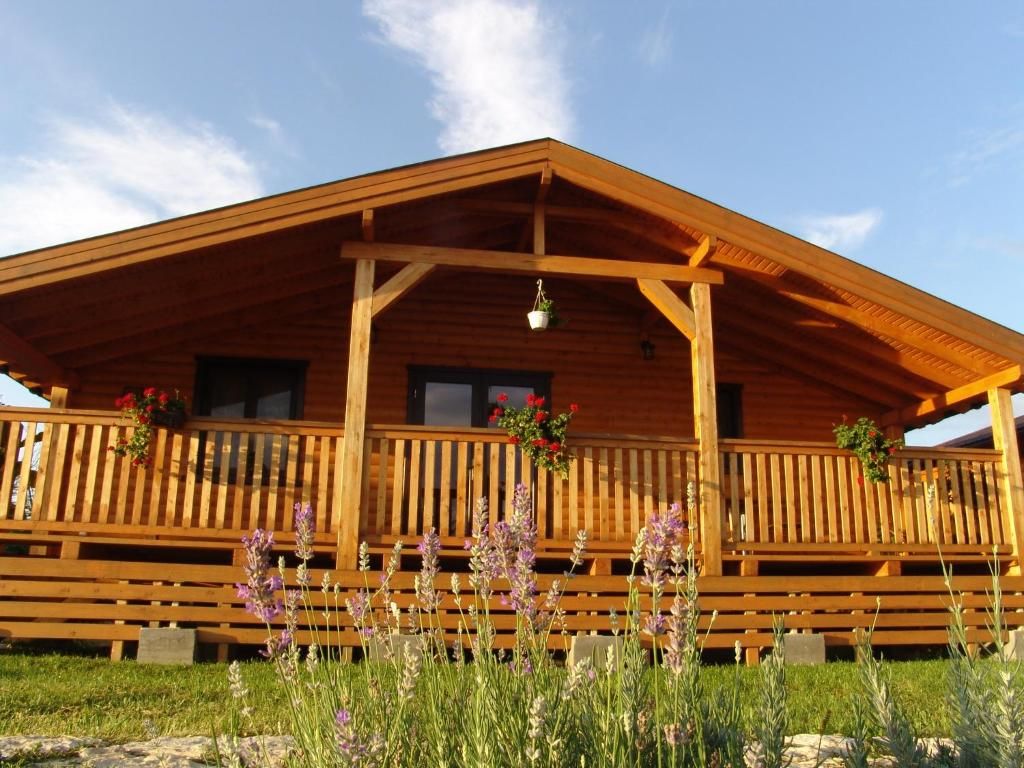 Дома для отпуска Complex Agroturistic Livada de Nuci Байя-де-Фьер