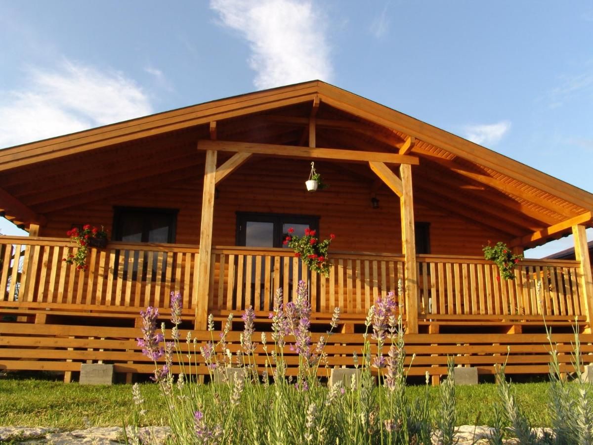 Дома для отпуска Complex Agroturistic Livada de Nuci Байя-де-Фьер